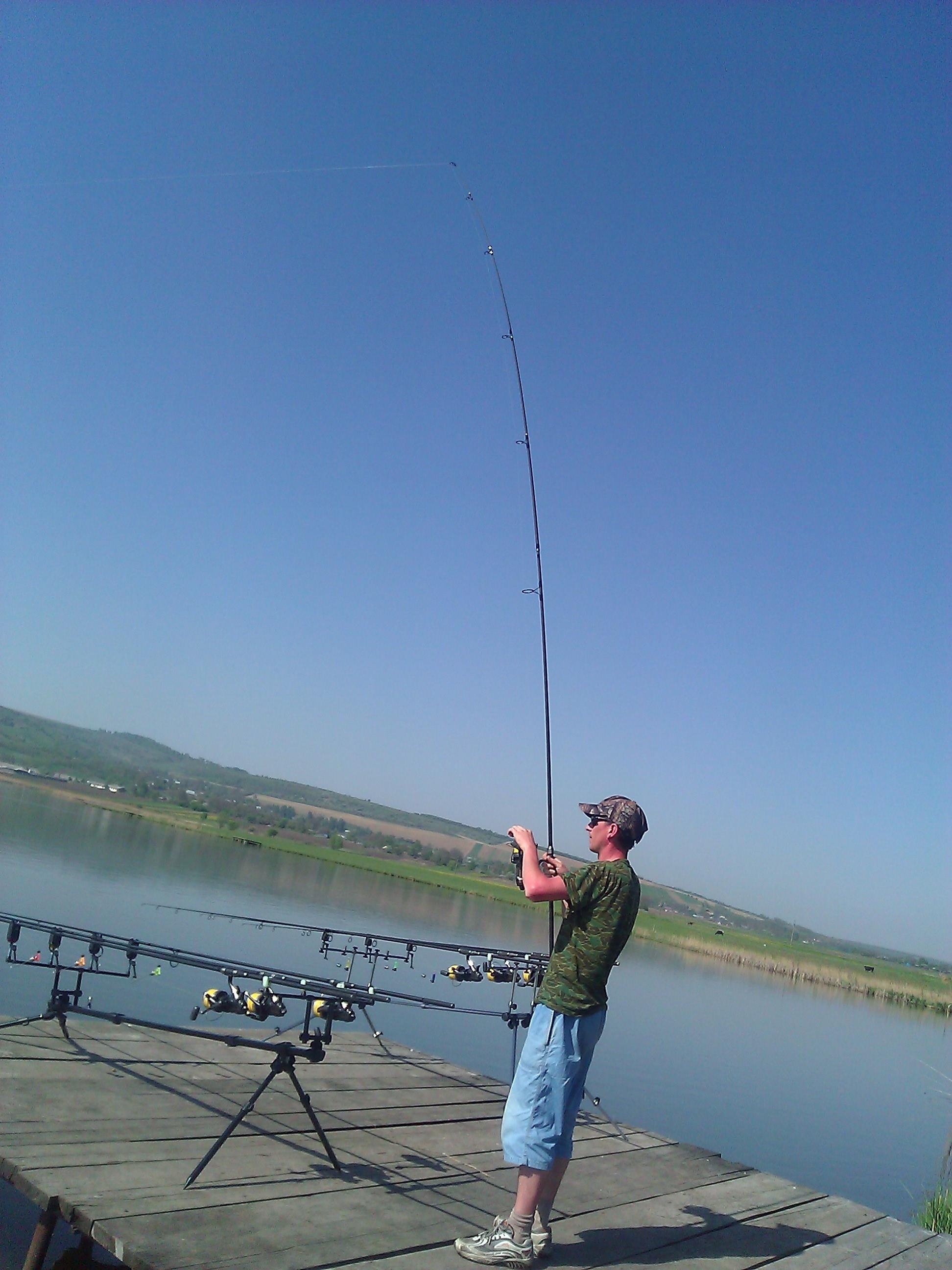 Crap - WP_000284.jpg